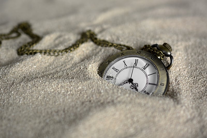 Time-Warped Individuals